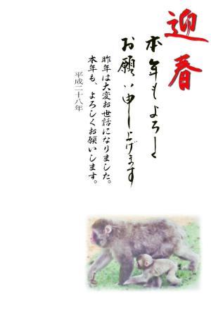 年賀状テンプレート033縮小画像 迎春 猿の親子水彩画イラスト 無地(シンプル)