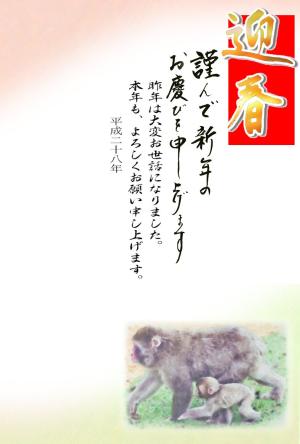 年賀状テンプレート037縮小画像 迎春 猿の親子水彩画イラスト デザイン背景画(シンプル)