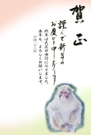 年賀状テンプレート066縮小画像 賀正 座る猿の水彩画イラスト デザイン背景画(シンプル)