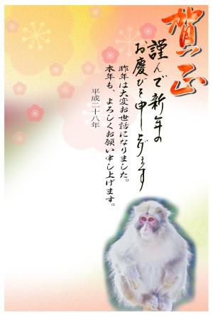 年賀状テンプレート071縮小画像 賀正 座る猿の水彩画イラスト デザイン背景画(梅)