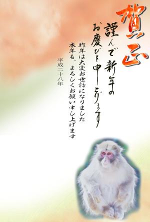 年賀状テンプレート076縮小画像 賀正 座る猿の水彩画イラスト デザイン背景画
