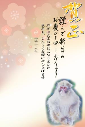 年賀状テンプレート082縮小画像 賀正 座る猿の水彩画イラスト デザイン背景画(梅)